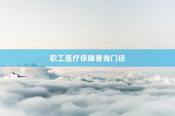 职工医疗保障查询门径