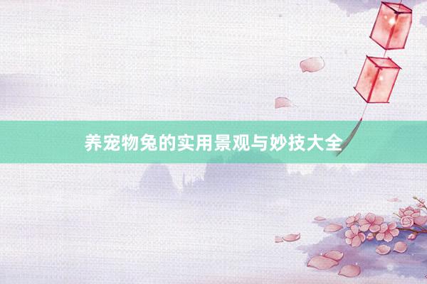 养宠物兔的实用景观与妙技大全