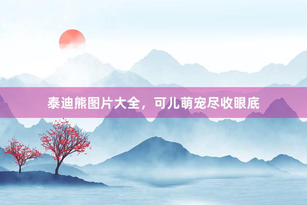 泰迪熊图片大全，可儿萌宠尽收眼底